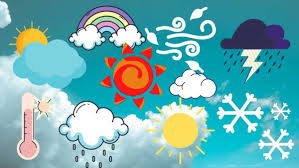 whatsapp image 2026 01 10 at 12.39.32 am